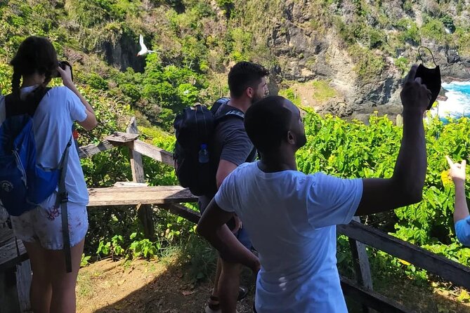 Birdwatching, Waterfall, Rainforest and Island Nature Tours - Who should book this experience?