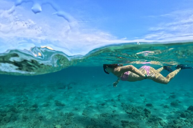 Blue Heron Bridge Guided Snorkel Tour - Key points to know before you book