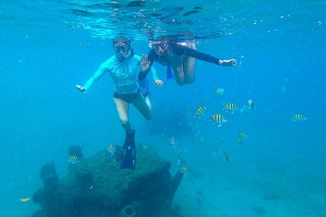 Blue Heron Bridge Guided Snorkel Tour - A shallow reef under the Blue Heron Bridge