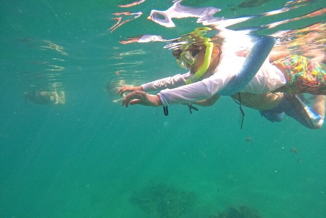 Blue Heron Bridge Guided Snorkel Tour - What the guide adds to the $80 price
