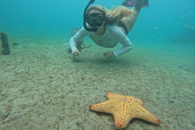 Blue Heron Bridge Guided Snorkel Tour - The small-group advantage