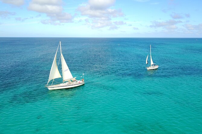 Blue Parrot Snorkel Sail with 4 course lunch or dinner in Aruba - Timing, weather, and practical details