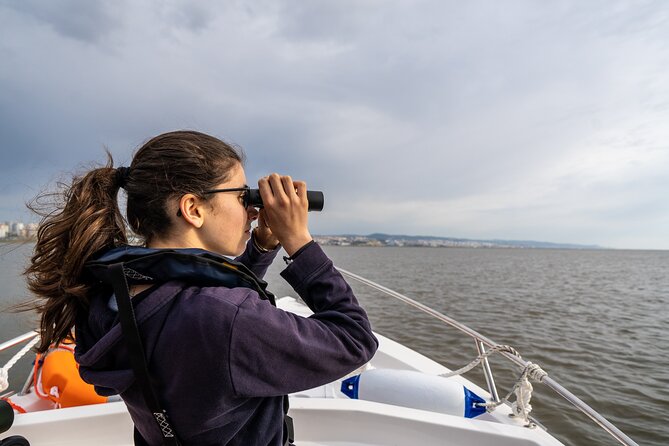 Boat Tour - Bird Observation in the Tejo Nature Reserve - Is the $60.07 Price Good Value?