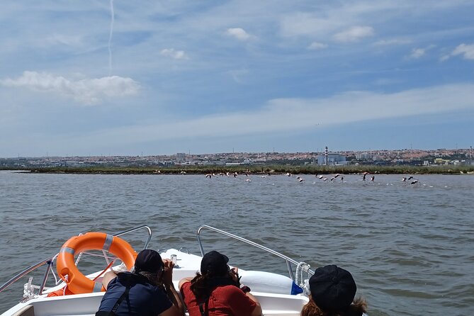 Boat Tour - Bird Observation in the Tejo Nature Reserve - Weather, Clothing, and Comfort
