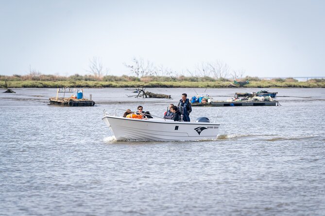Boat Tour - Bird Observation in the Tejo Nature Reserve - Booking and Cancellation Details