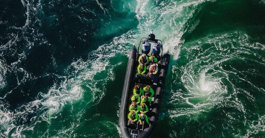 Bodø: Saltstraumen Sea Eagle Trip by RIB - Key points about the Saltstraumen RIB trip