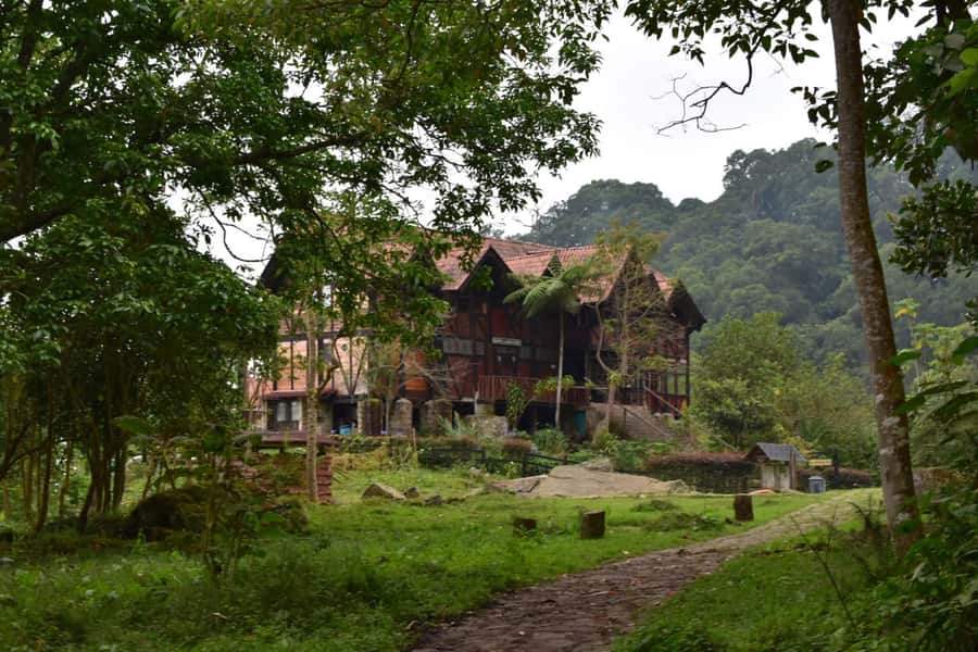 Bogota: Explore the forest and bird watching at Chicaque Natural Park - Why Chicaque makes a good day out from Bogotá