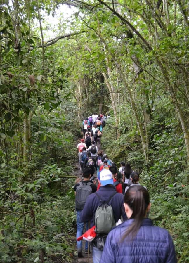 Bogota: Explore the forest and bird watching at Chicaque Natural Park - The private ride from Bogotá