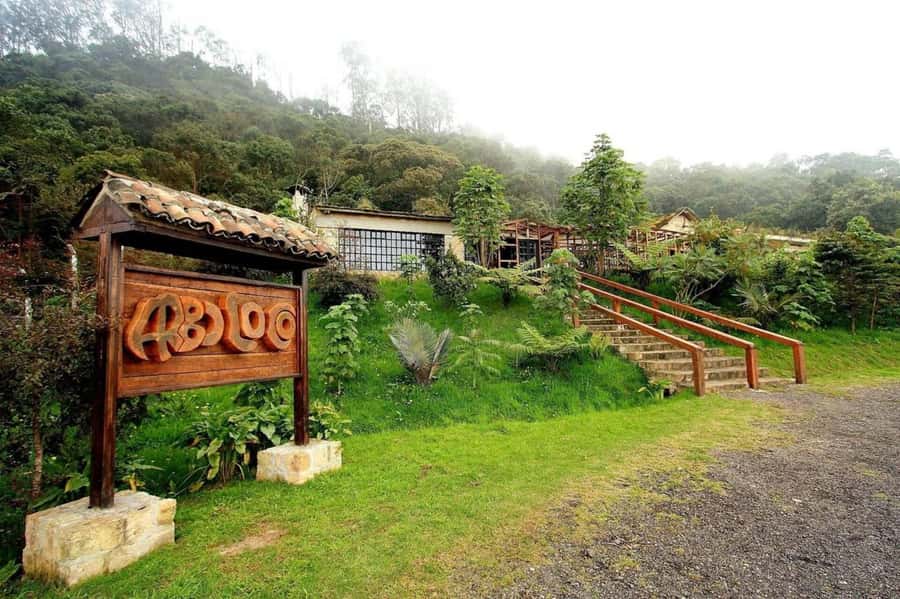 Bogota: Explore the forest and bird watching at Chicaque Natural Park - What the guide adds