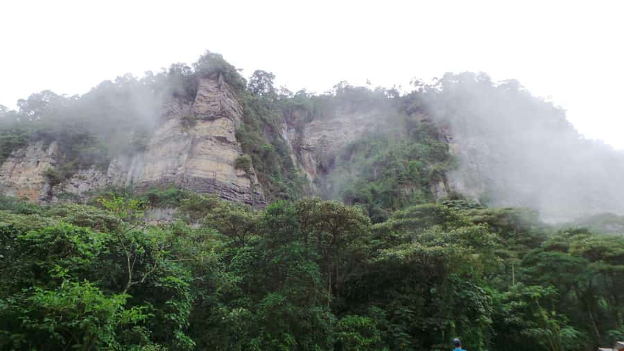 Bogota: Explore the forest and bird watching at Chicaque Natural Park - What to pack for a comfortable walk