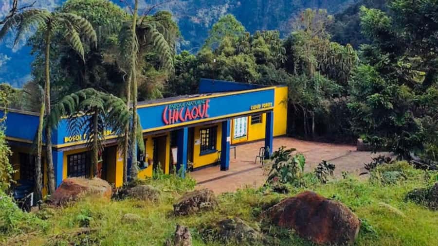 Bogota: Explore the forest and bird watching at Chicaque Natural Park - Getting oriented inside the cloud forest