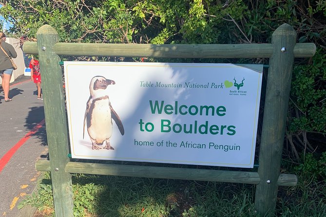 Boulders Beach Penguins and Seal Island Boat Trip Half Day Tour - Guides who add practical value