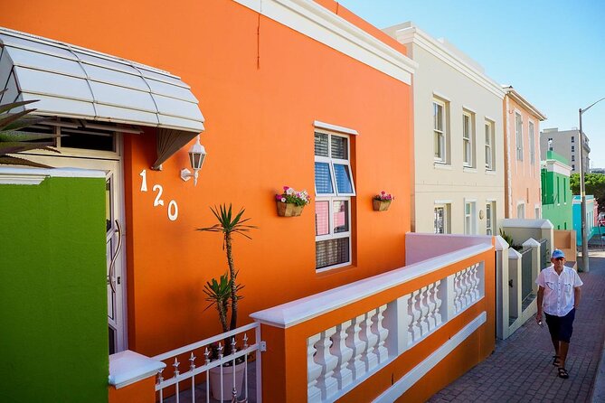 Boulders beach penguins and Wine tasting full day tour - What this full-day Cape Town route is really like