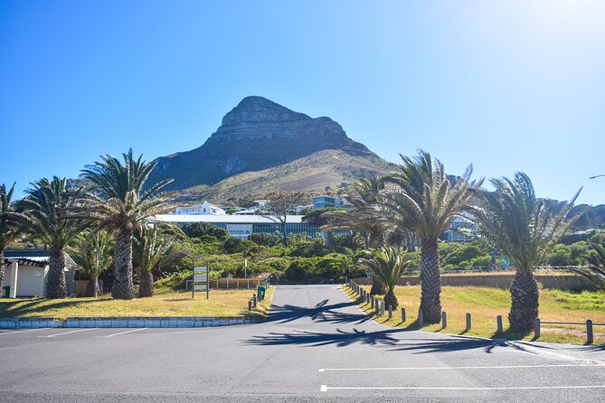 Boulders Beach Penguins Half Day Tour - Why Boulders Beach is worth the morning