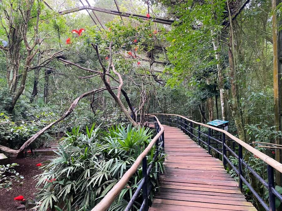 Brazilian Falls, Bird Park and Itaipu Dam - What the $160 price really covers
