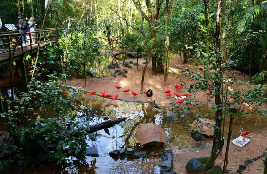 Brazilian Falls, Bird Park and Itaipu Dam - Group size and guide service