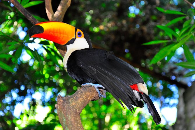 Brazilian Falls, Bird Park and Itaipu Dam from Foz do Iguaçu - What the $125 price really covers