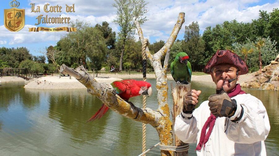 Breakfast with parrots at Masseria Mazzetta with wildlife park - Breakfast with parrots at Masseria Mazzetta