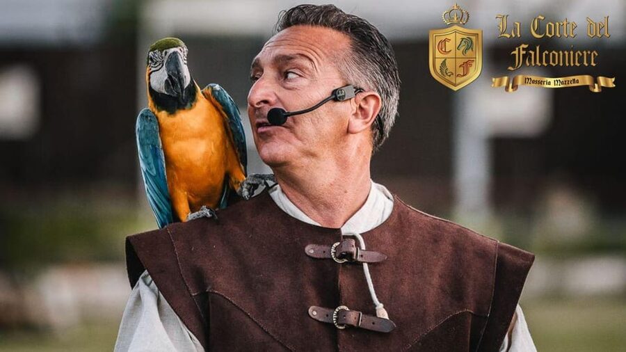 Breakfast with parrots at Masseria Mazzetta with wildlife park - Meeting Kri, Rio, and the small parrots
