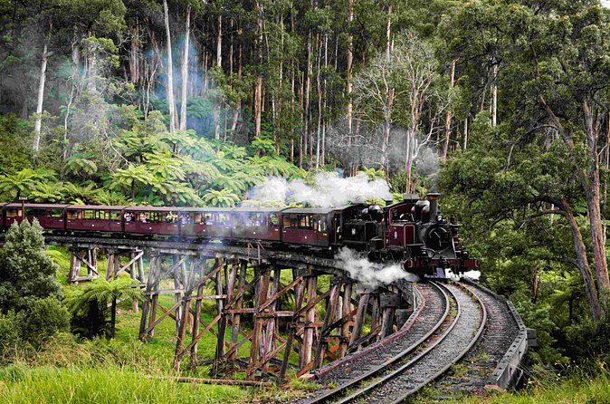Brighton Bath Boxes & Puffing Billy & Penguin Parade 1-Day Tour - Little penguins at Summerland Beach