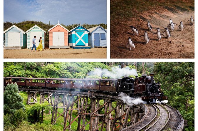 Brighton Bath Boxes & Puffing Billy & Penguin Parade 1-Day Tour - Commentary, language, and the tour vehicle