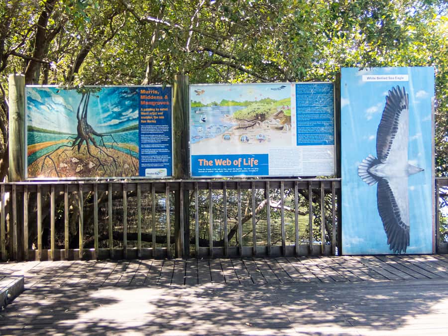 Brisbane: Kangaroos, Birds and Mangroves Coastal Tour - The HMQS Gayundah at Woody Point