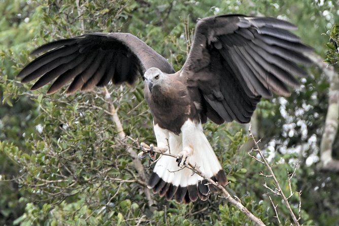 Bundala Birding Paradise - All Inclusive Tour - Why Bundala is different from a typical Yala safari