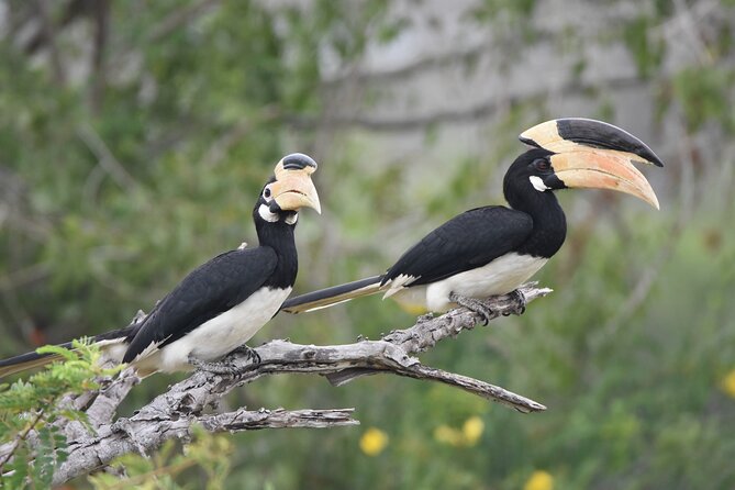 Bundala Birding Paradise - All Inclusive Tour - The guide makes or breaks this birding outing
