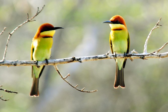 Bundala Birding Paradise - All Inclusive Tour - Is the $125 price good value?