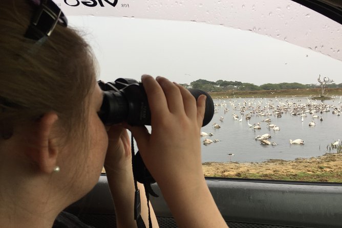 Bundala Birds Safari by Jeeps - Why Bundala makes a good bird safari