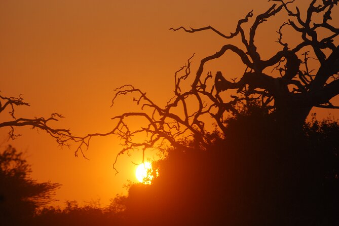 Bundala Birds Safari by Jeeps - The chance of elephants and other mammals