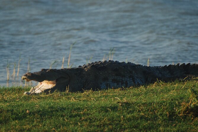 Bundala Birds Safari by Jeeps - Comfort, views, and the small group limit