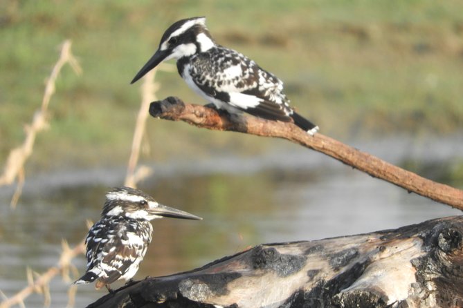 Bundala National Park Birds Watching Safari Tour - Entering the park with a sharp-eyed tracker