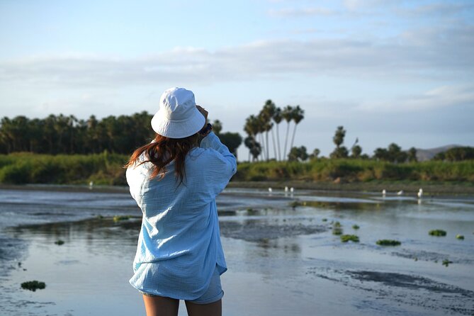 Cabo birding | Bird watching at bird sanctuary - Key points to know before you book