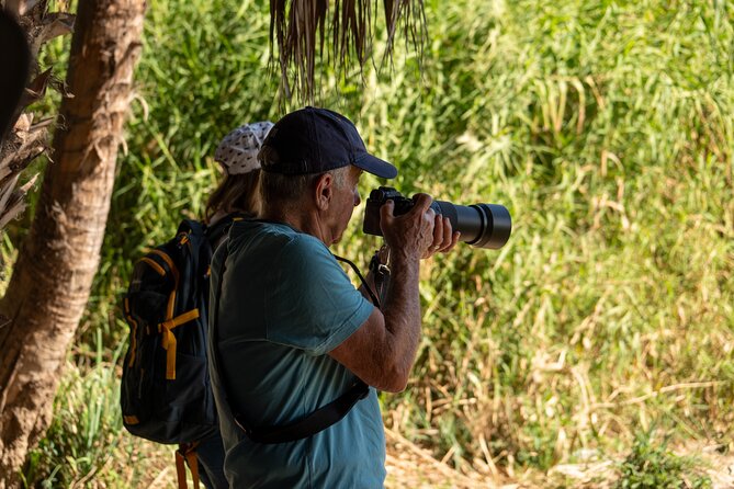 Cabo birding | Bird watching at bird sanctuary - What the high praise tells you