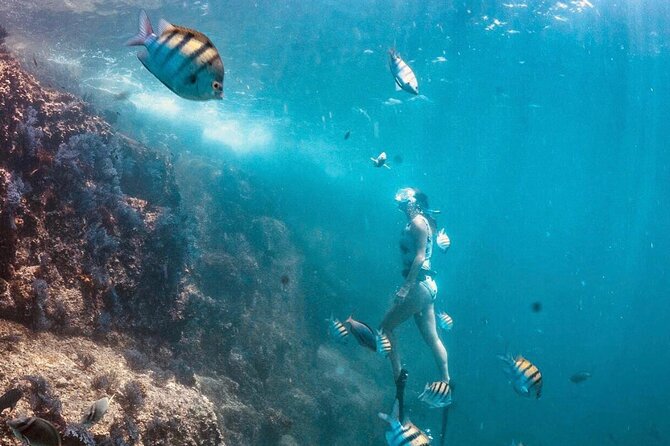 Cabo San Lucas Arch Boat Tour and Snorkeling at Pelican Rock - The two-hour promise and what to expect