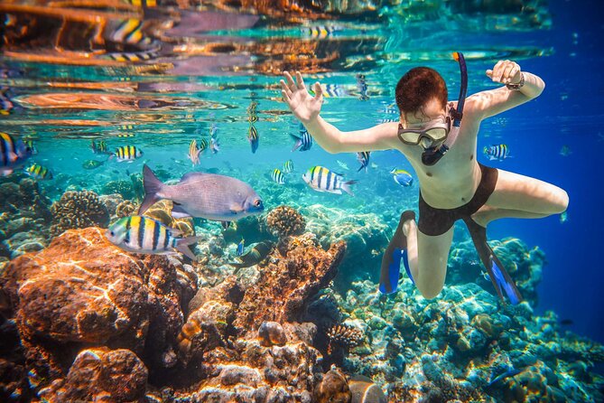 Cabo San Lucas Boat Tour and Snorkel at Pelican Rock - What the Guides Add to the Ride