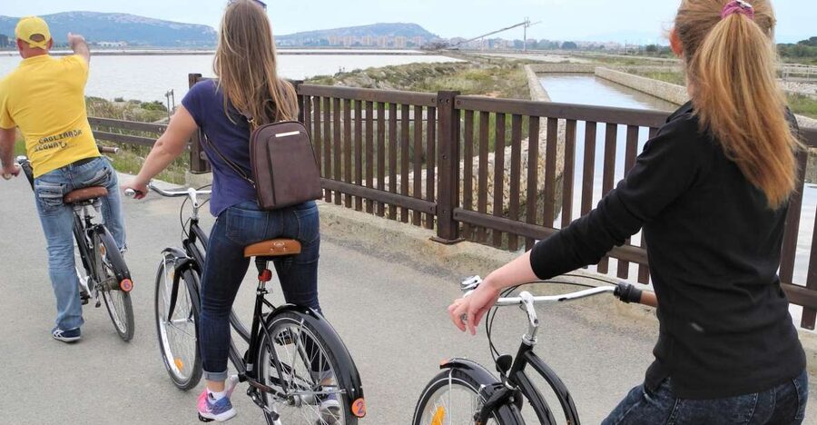Cagliari: Bike Tour in the Flamingo Oasis - Best time and best type of visitor