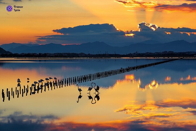 Cagliari city tour and flamingo park by minivan and on foot - Castello: the tour’s main walking section