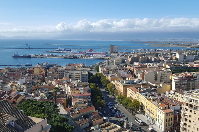 Cagliari city tour and flamingo park by minivan and on foot - Poetto Beach as part of the city story