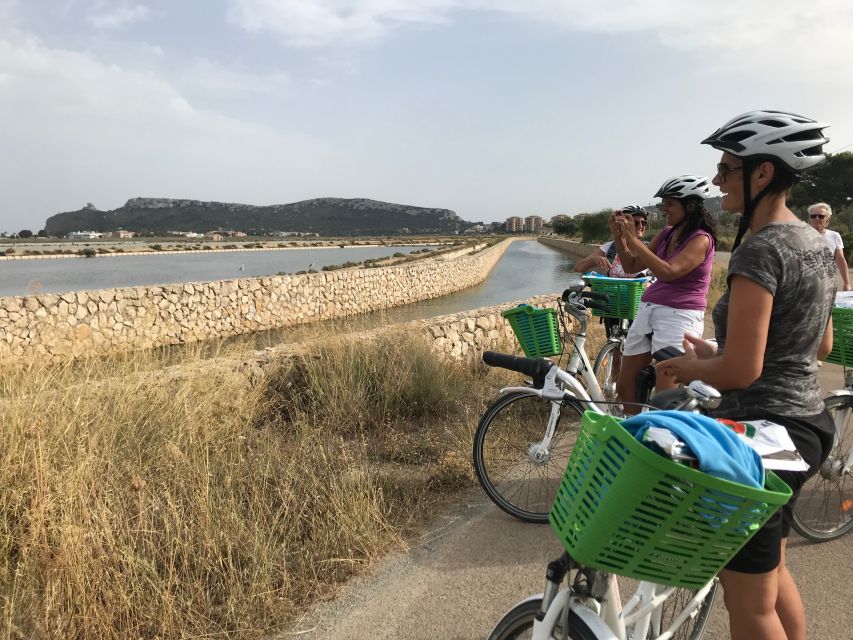 Cagliari E-Bike Tour: Canals & Flamingos at Molentargius - Should you book the Molentargius e-bike tour?