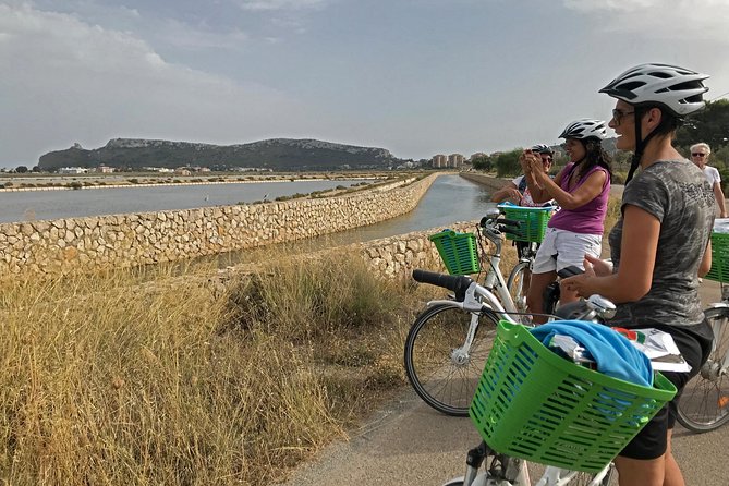 Cagliari E-Bike Tour: Gulf, Canals & Flamingos at Molentargius - From Via Dettori to the harbour