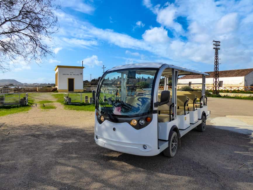 Cagliari: EcoSafari Flamingos Tour in Molentargius Park - Why Molentargius is worth your time