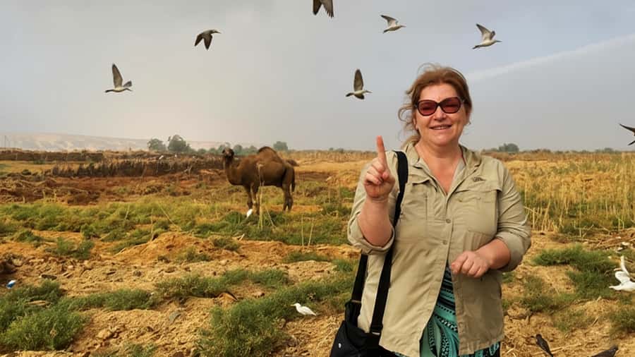 Cairo: Wadi El Ryan Fayoum Oasis &Bird Watching Private Tour - Leaving Cairo for Fayoum’s open country