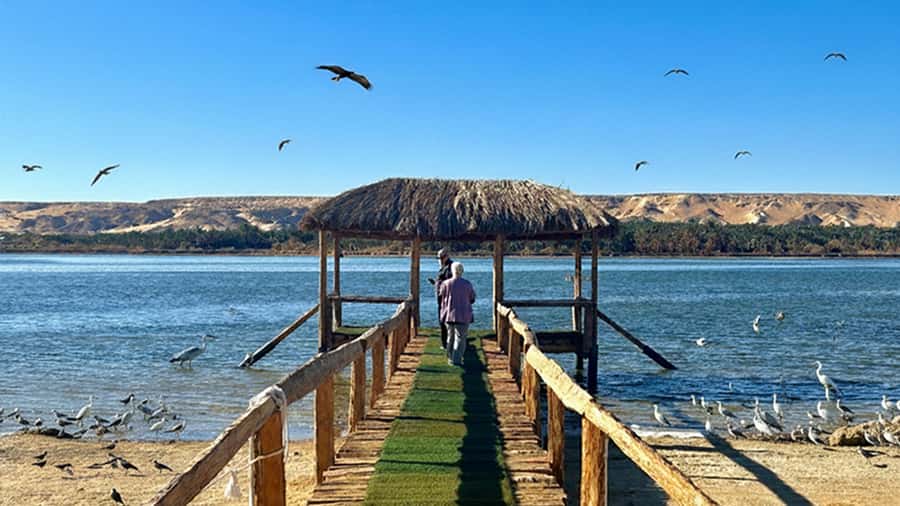 Cairo: Wadi El Ryan Fayoum Oasis &Bird Watching Private Tour - El Hez Village’s cold spring