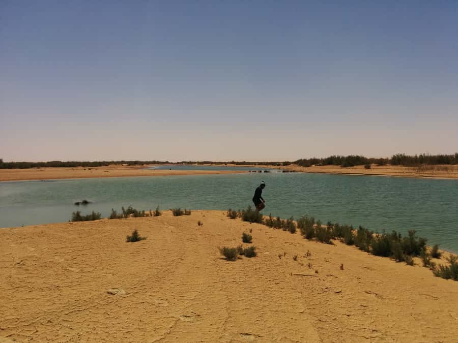 Cairo: Wadi El Ryan Fayoum Oasis &Bird Watching Private Tour - Guides and drivers can shape the whole day