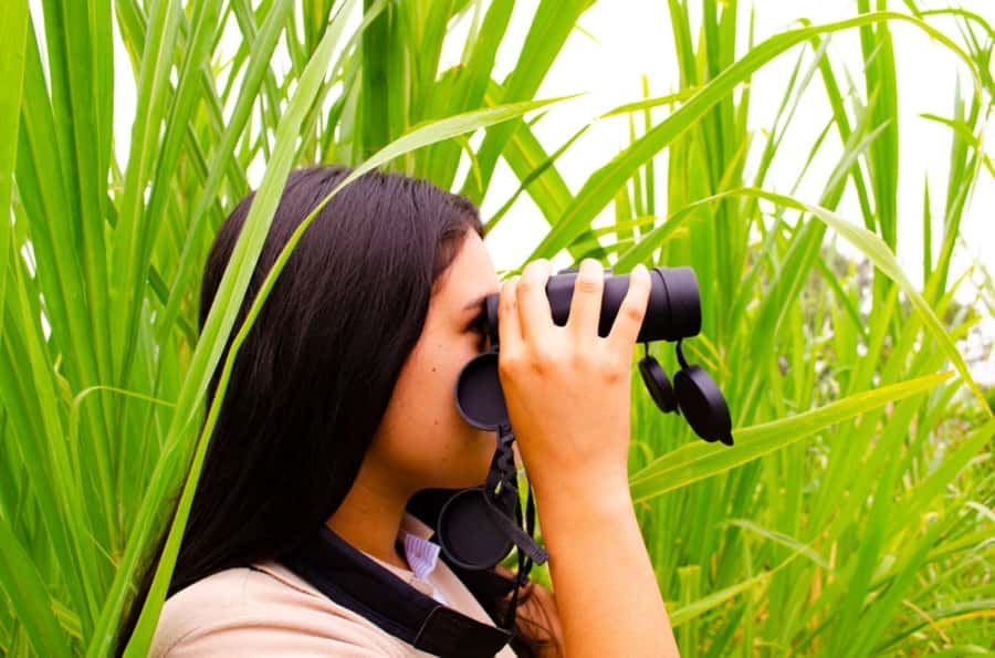 Cali: Birdwatching in la Cumbre - Why this corner of Valle del Cauca matters