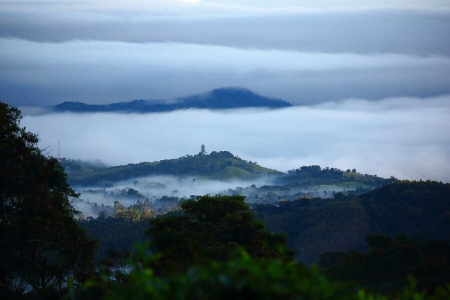 Cali: Birdwatching in la Cumbre - Is $288 a fair price?