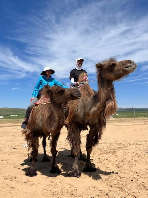 Camel Trails and Bird Tales: Discovering Elsen Tasarkhai - Camel riding on the dunes