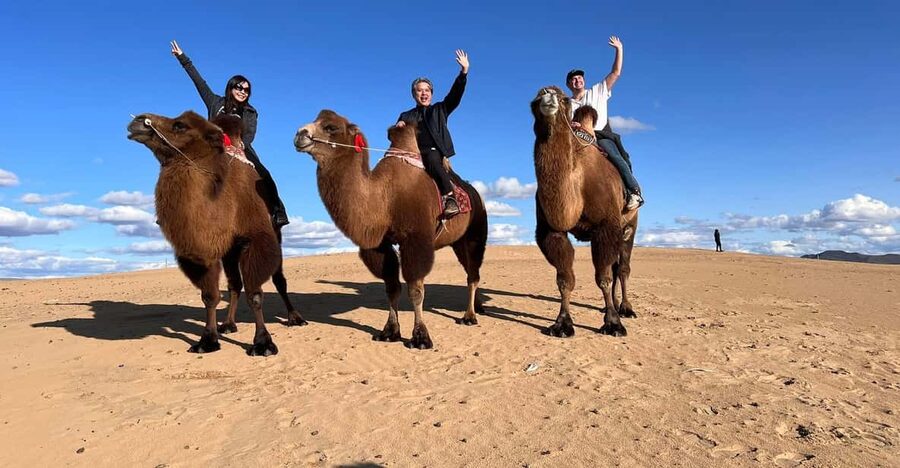Camel Trails and Bird Tales: Discovering Elsen Tasarkhai - Lunch and the rhythm of the day